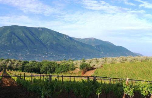 Holiday Home Domus Incantada by Interhome - Foto 37