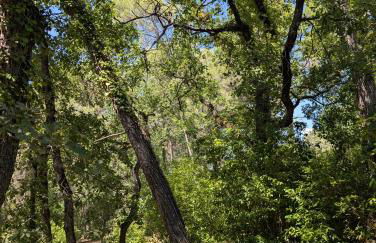 Pavillon La Ruine - Foto 30