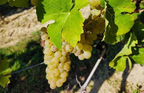 Apartament Miasto i Wisła - Foto 36