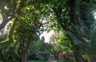 Il Giardino di Michela by DomuSicily - Foto 34