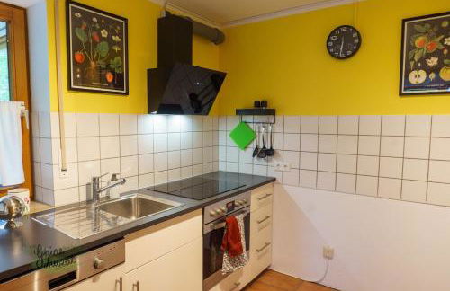 Ferienwohnung Grüne Auszeit mit Kaminofen und Terrasse - Foto 35