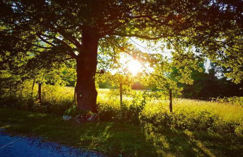 Chalet Vacanze Il Daino - Foto 20