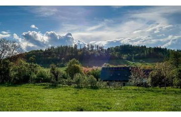 Kozy i Róże - Foto 18