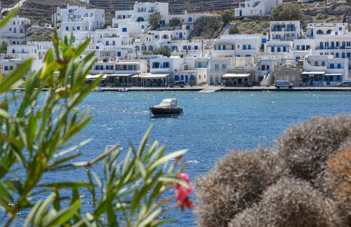 Panormos View - Photo 19