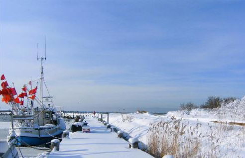 Seeschwalbe - Foto 32