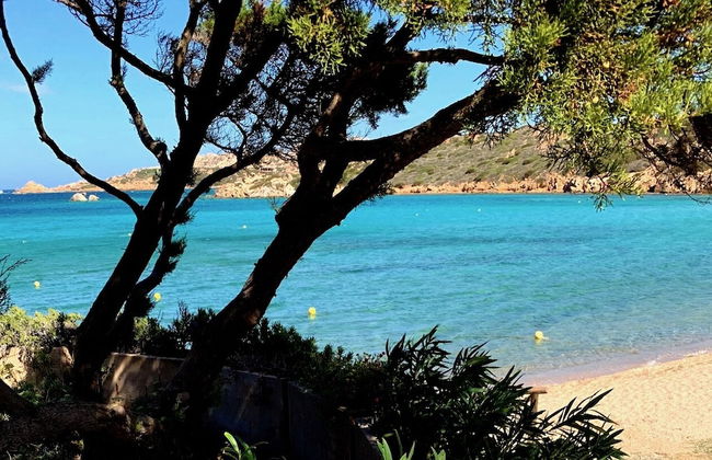 Maison Monte d'A Rena - Foto 53