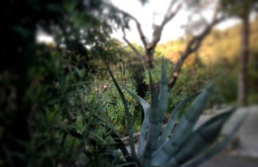 Mas rénové par un architecte - Foto 27