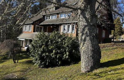 Kuckucksnest - Foto 37