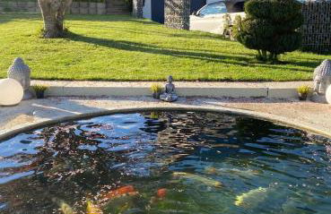 Ferienwohnung Alex - Foto 9