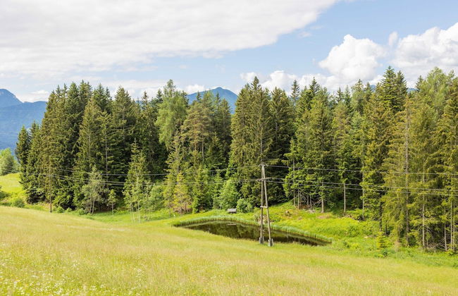 Apartment in Mooswald in Carinthia With Pool - Foto 29
