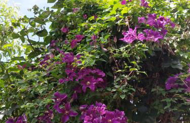 Appartement - FeWo Wenne - Foto 23