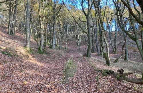 The Garden Room - Foto 20