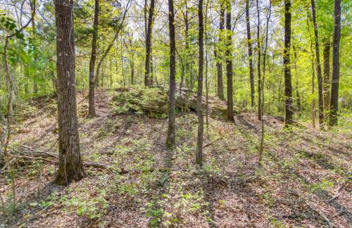 136 Private Acres Lakefront Aiken County Home! - Foto 39