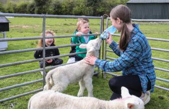 GlenHaven Holiday Accommodation - Foto 37