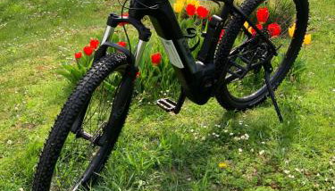 Holiday Home Međimurski Raj - Foto 3