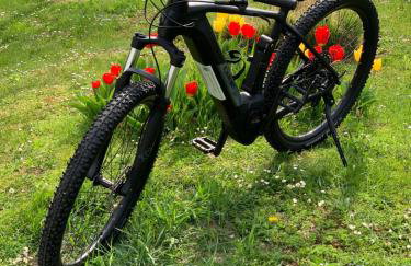 Holiday Home Međimurski Raj - Foto 3