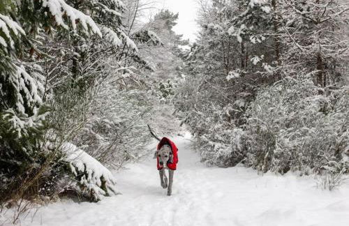 The Stables Cottage, Aboyne, Peaceful Stay in Royal Deeside - Photo 81