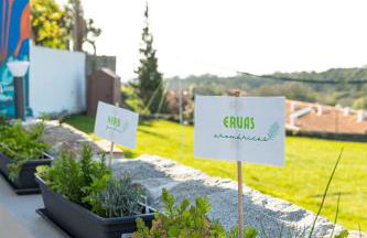 Villa Aqua Madalena by MP - Foto 5