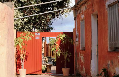 Live Buenavista El Palmar - Foto 53