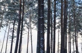 Zielony Domek w Nartach - Mazury - Photo 29