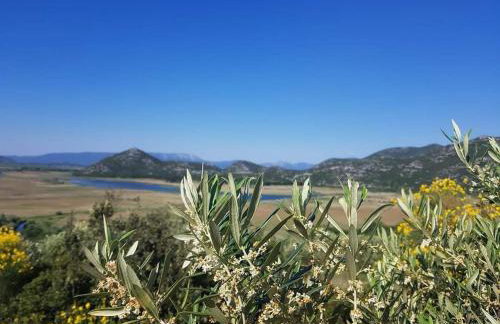 Villa Tina - Foto 51