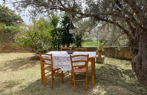 Paulina's House - Foto 27