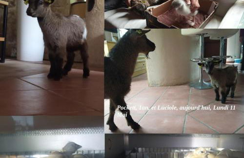 le Mas de la Jardine - Foto 65