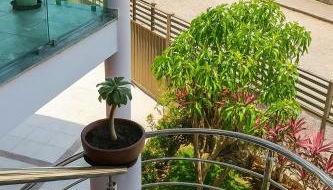 Apartamento charmoso 3/4 - Foto 5