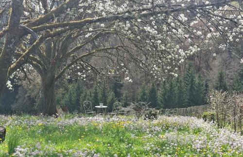 Ferienwohnung bei Tanja und Marcus - Foto 21