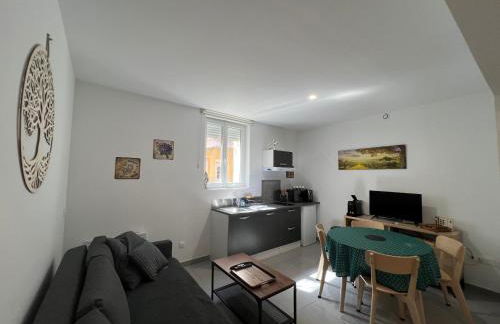 Appartement T2 40 M2 cosy RDC plein centre ville - Foto 13