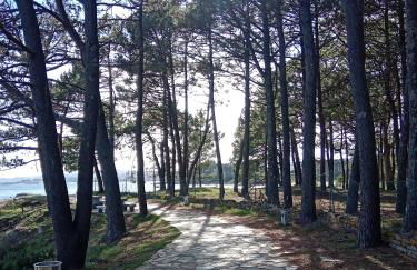 Areos de Cabío - Foto 9