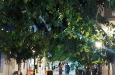 Nektaria on the Beach - Foto 3