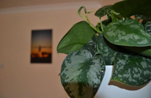 Apartment in Heart of West End- Parking Space- recent refurb- Near University and Kelvingrove Art Gallery - Foto 19