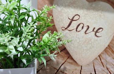 Piso céntrico Elche - Foto 4