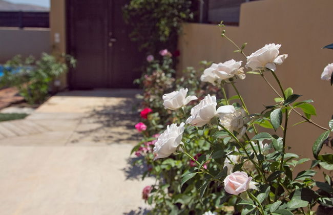 Lida Garden - Foto 63