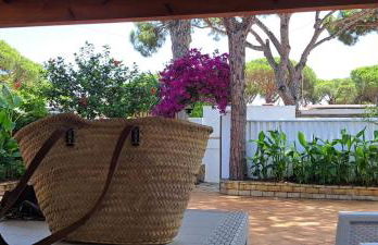 Doña Violeta - La Barrosa - Foto 1