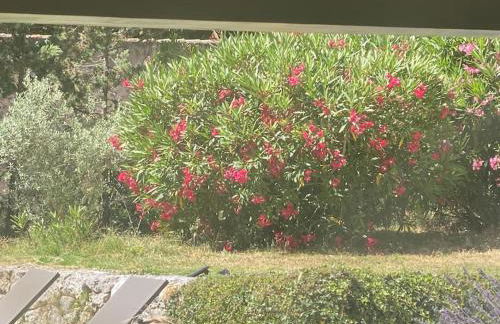 Ar de Vie villa chaleureuse en Provence - Foto 16