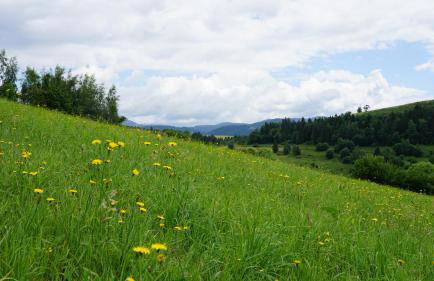 DOM NA SKARPIE - Foto 13