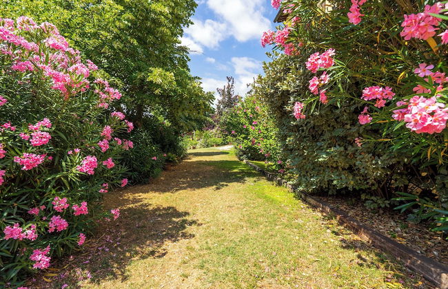 Borgo Mandoleto - Foto 33