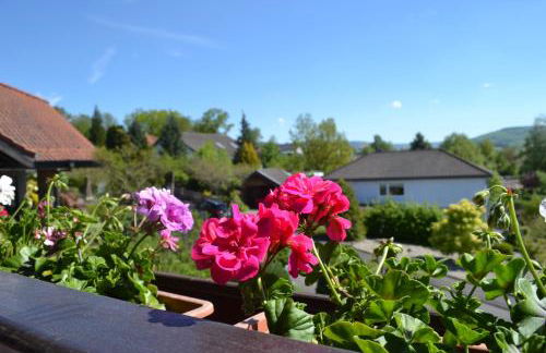 Gästehaus Klein - Foto 36