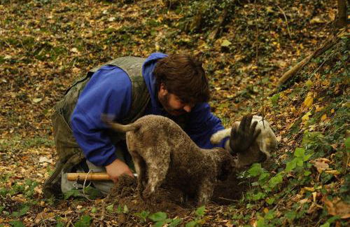 Agriturismo Biologico Villa Rosa - Photo 65