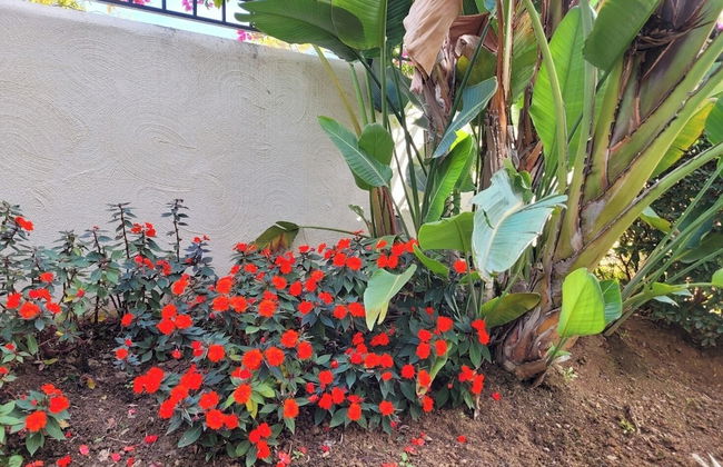 Elviria 2-bed Apt, Sleeps 4, Pool, 20m to Beach - Foto 25