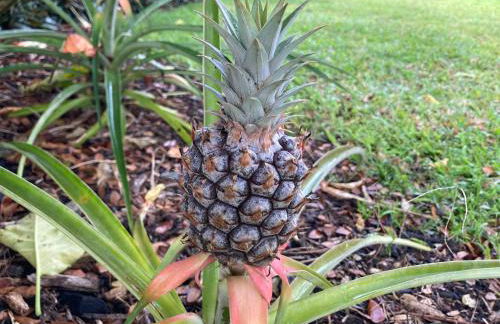 Comfort Nest - Foto 37