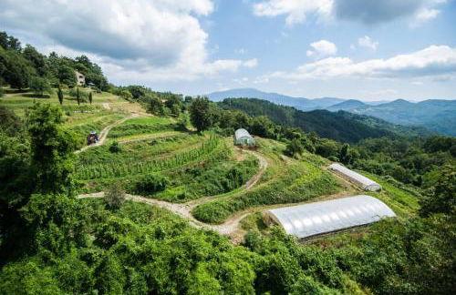 Agriturismo Giandriale - Foto 10