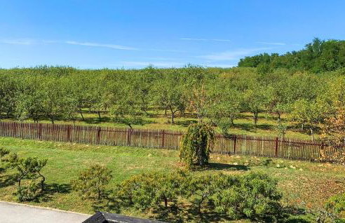 Lovely Home In Gornja Kovacica - Foto 14