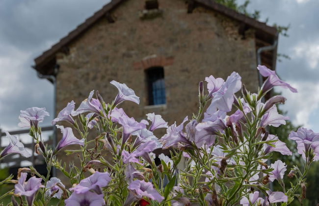 Storehouse With Pool Near Monpazier - Photo 40