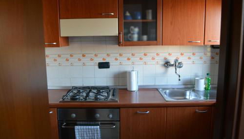 333apartment near Metro M2 and San Raffaele - Foto 5, stove, dishwasher