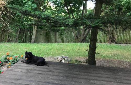 Siedlisko Nasza Chata - Foto 9