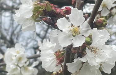 Quinta Pura Natura - Foto 46