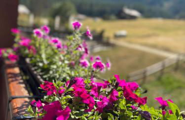 Grande Maison Du Coeur Champoluc Spa,Gym e Aree Relax - Foto 60